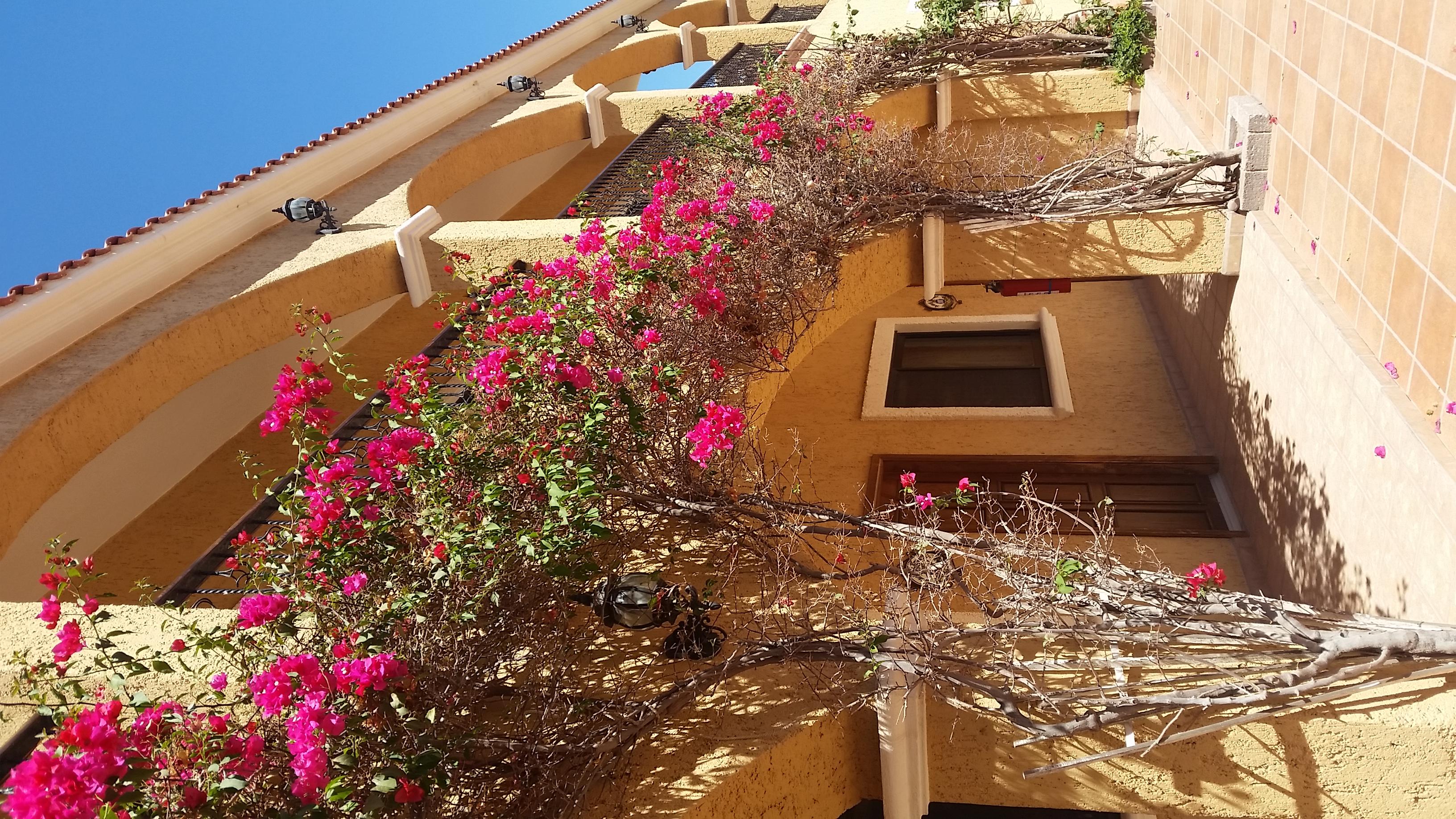 Hacienda Suites Loreto Exterior photo